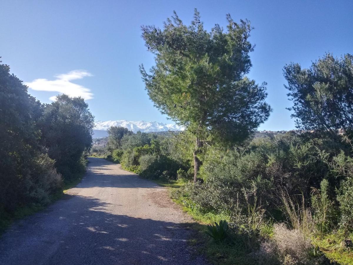 Manolo S Olive Farm, Apartment With Seaview ハニア エクステリア 写真