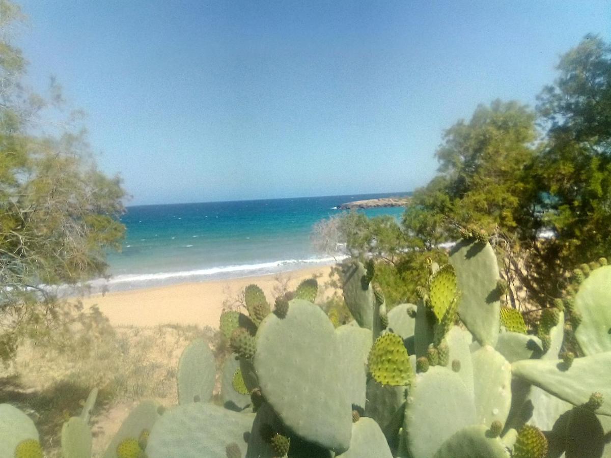 Manolo S Olive Farm, Apartment With Seaview ハニア エクステリア 写真